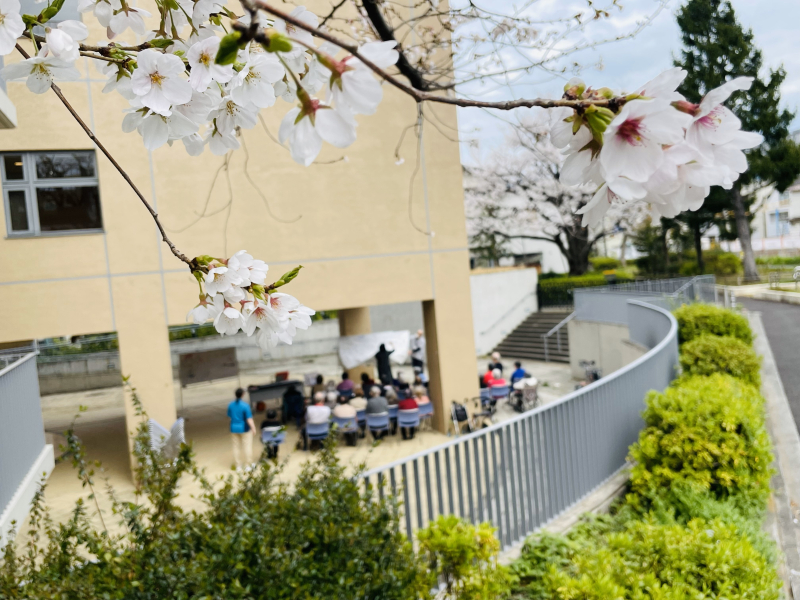 🌸お花見の会～関根先生の歌の会～🌸