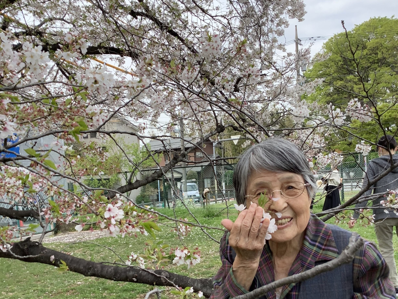 【通所介護】春の散策