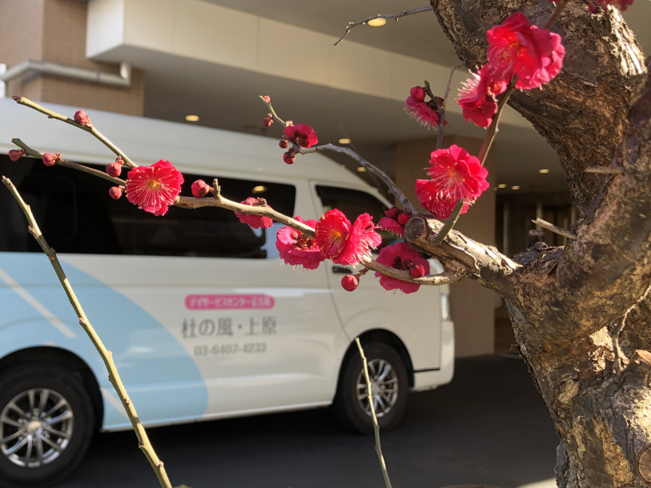 デイニュースVOL68　２０２６スタートにあたって