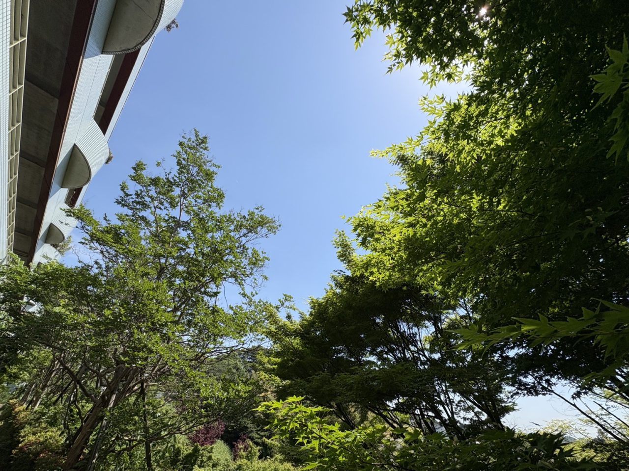ご利用者と職員を包む“緑の時間”